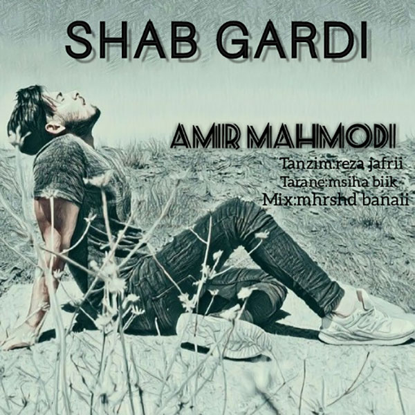 Amir Mahmodi – Shab Gardi